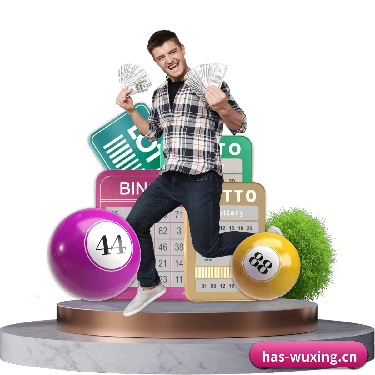 五星体育 APP